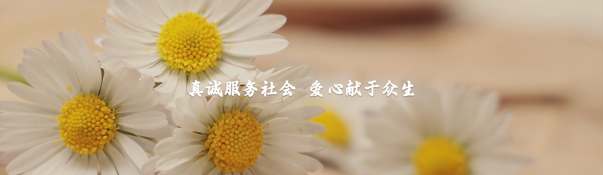 洛陽(yáng)寶山陵園|洛陽(yáng)陵園|寶山陵園|洛陽(yáng)寶山|洛陽(yáng)市寶山陵園有限公司