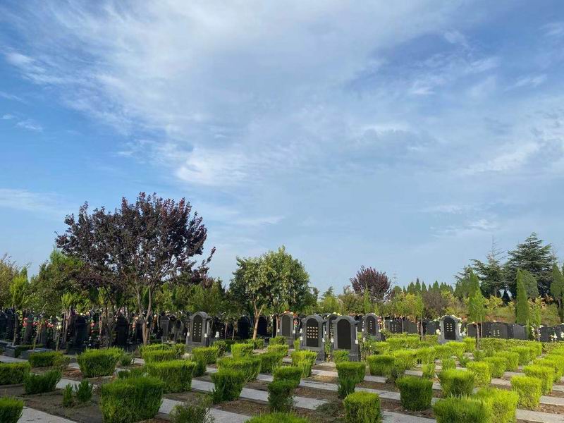 園區(qū)景觀(guān)