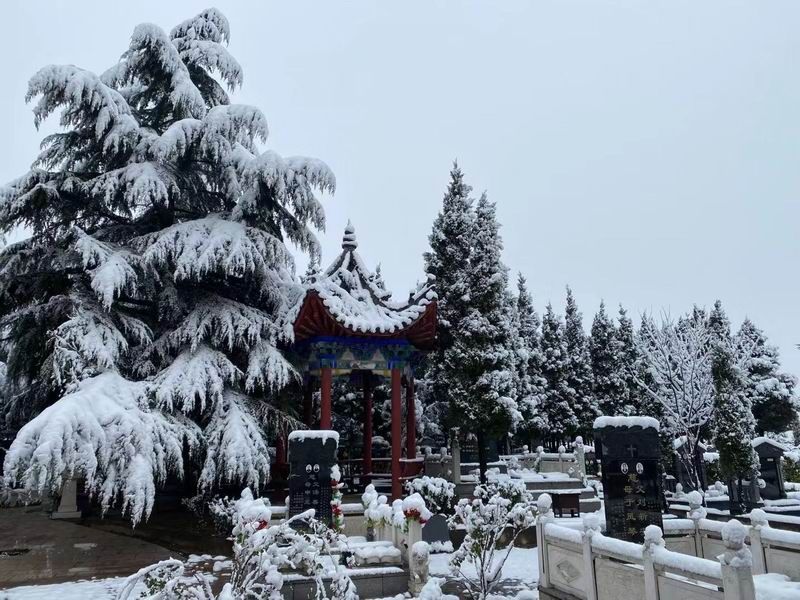 園區(qū)景觀(guān)